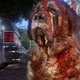 Cujo the dog, covered in blood, in the 1983 film of the same name.